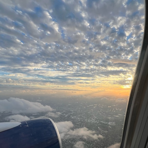 Meet your Posher, Tenaya - Picture 2 of 15